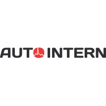 Auto Intern